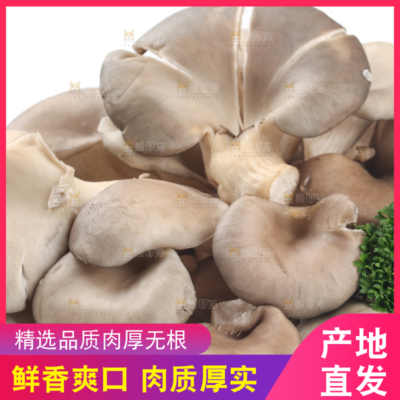 盘子里装着平菇