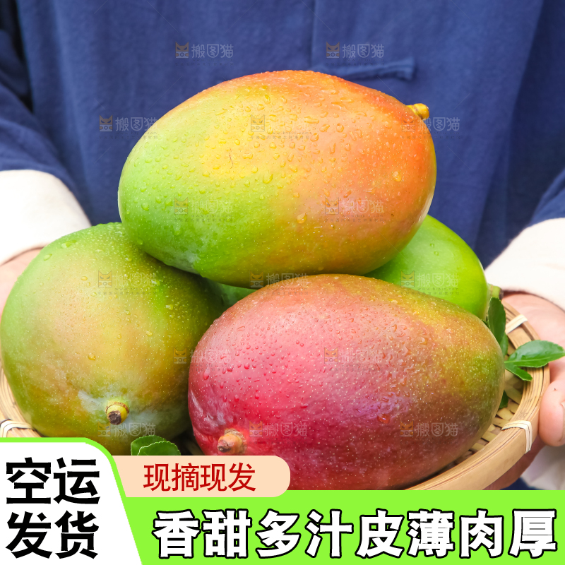 手拿一筐四川凯特芒