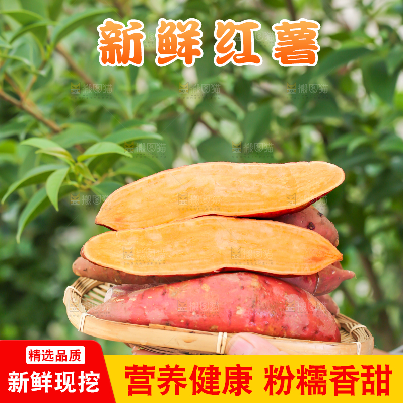 手里端着一盘红心红薯