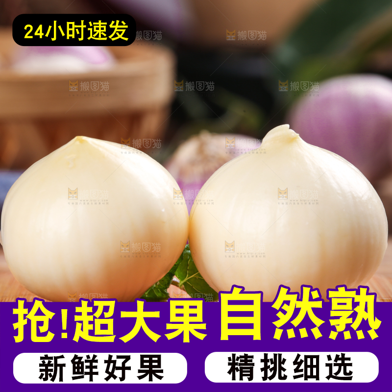 独头蒜主图
