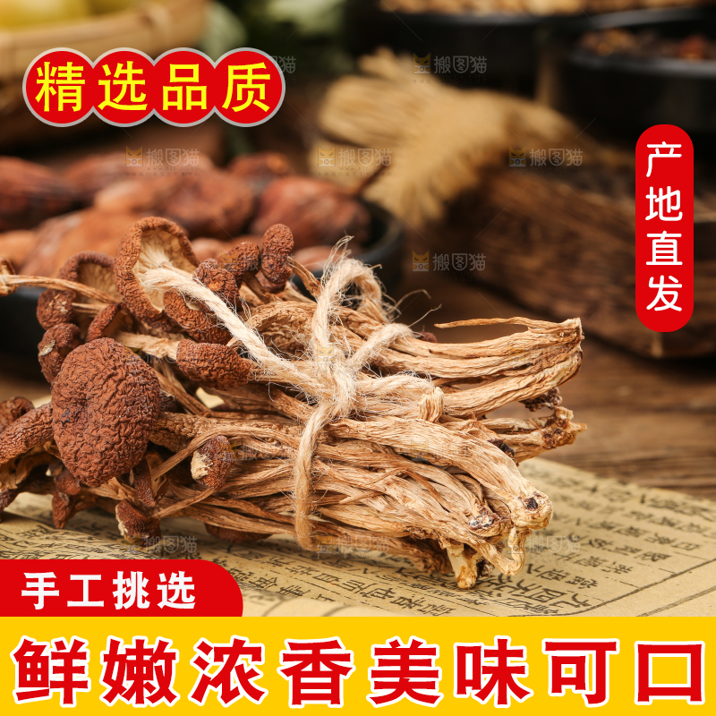 书本上放着茶树菇