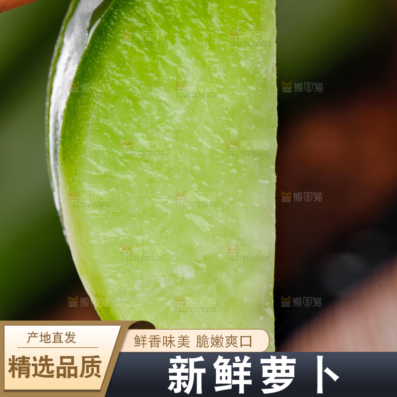 手里拿着萝卜