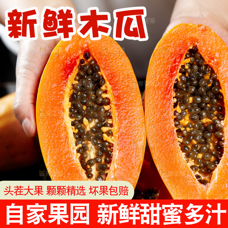 黑底上手拿着的冰糖心木瓜