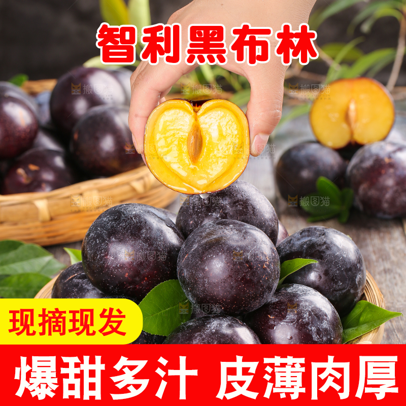 木底上手拿一个黑布林