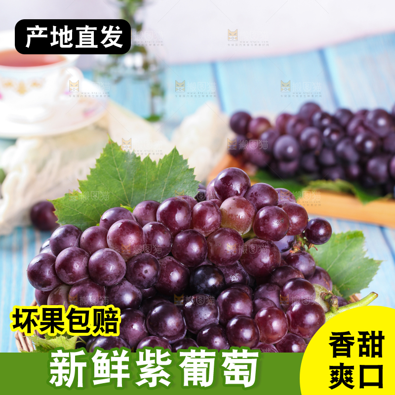 蓝底上放着一筐东北巨峰葡萄