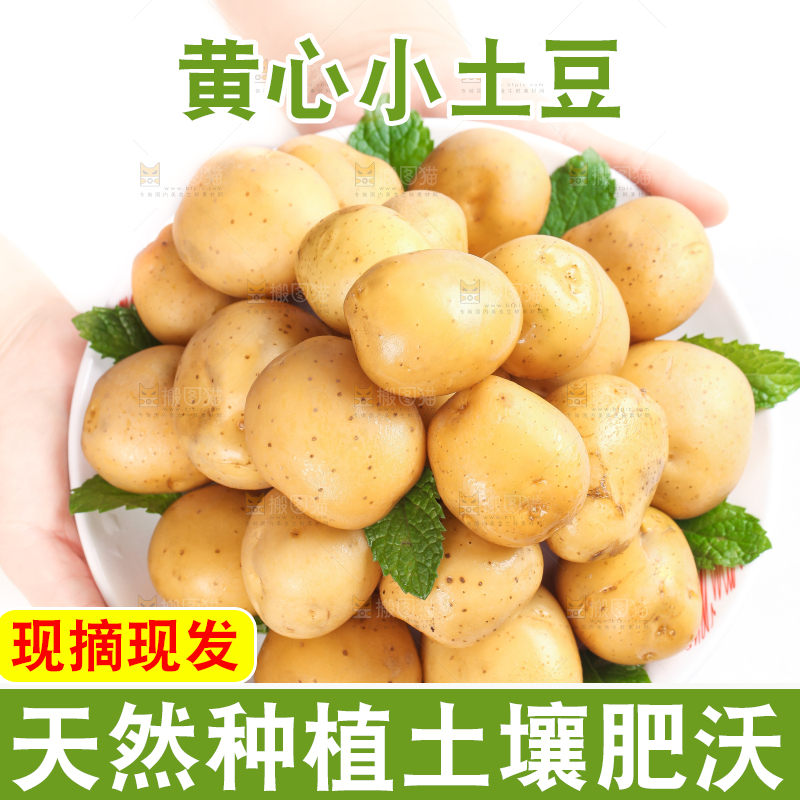 手端一盘云南小土豆