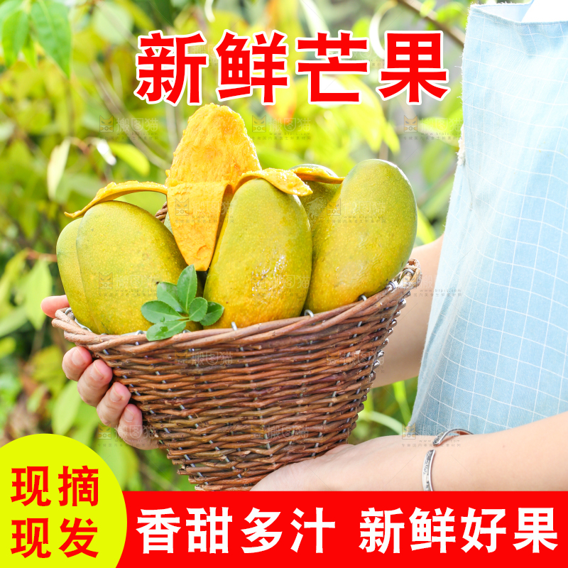 手拿一筐海南鸡蛋芒