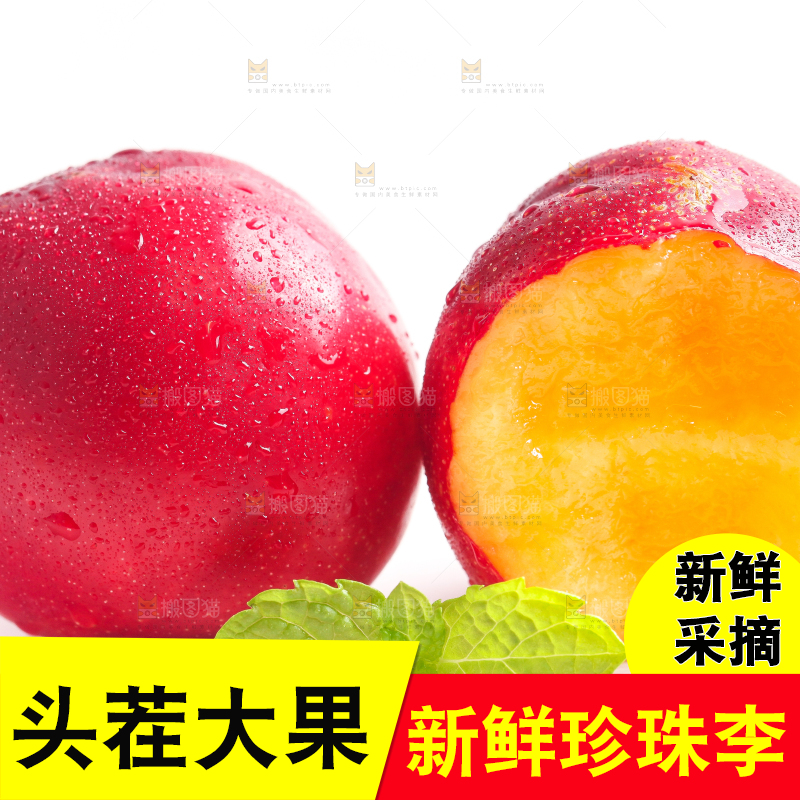 白底上的珍珠李