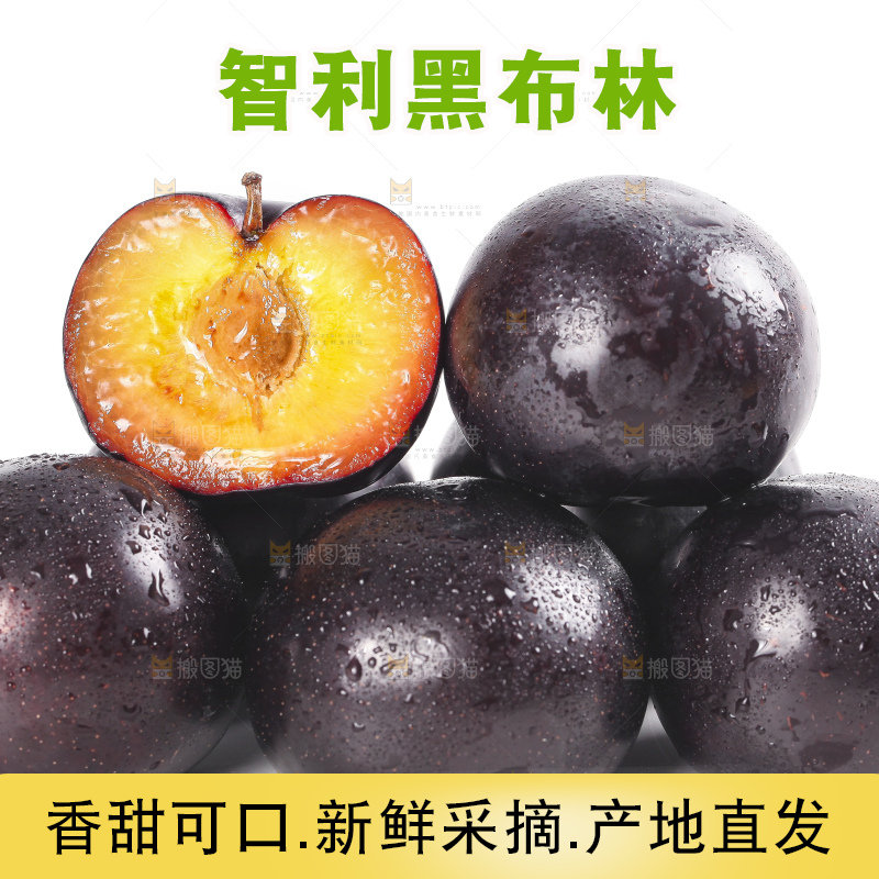 白底上的黄肉黑布李