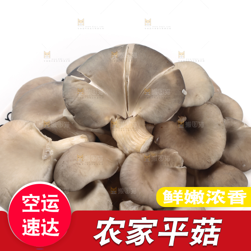 盘子里装着平菇
