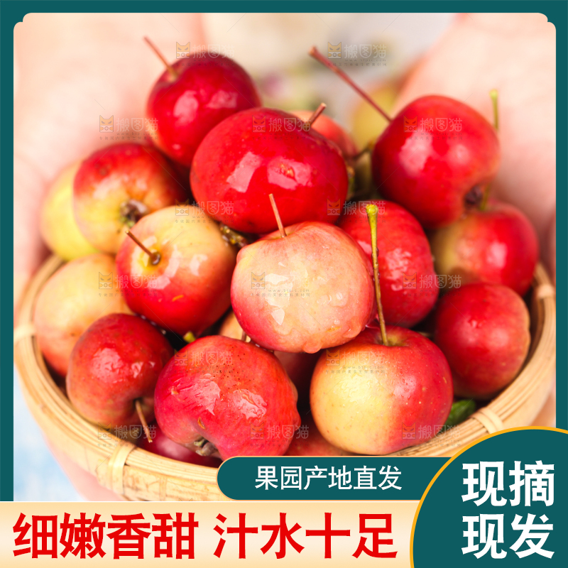 手拿一盘海棠果
