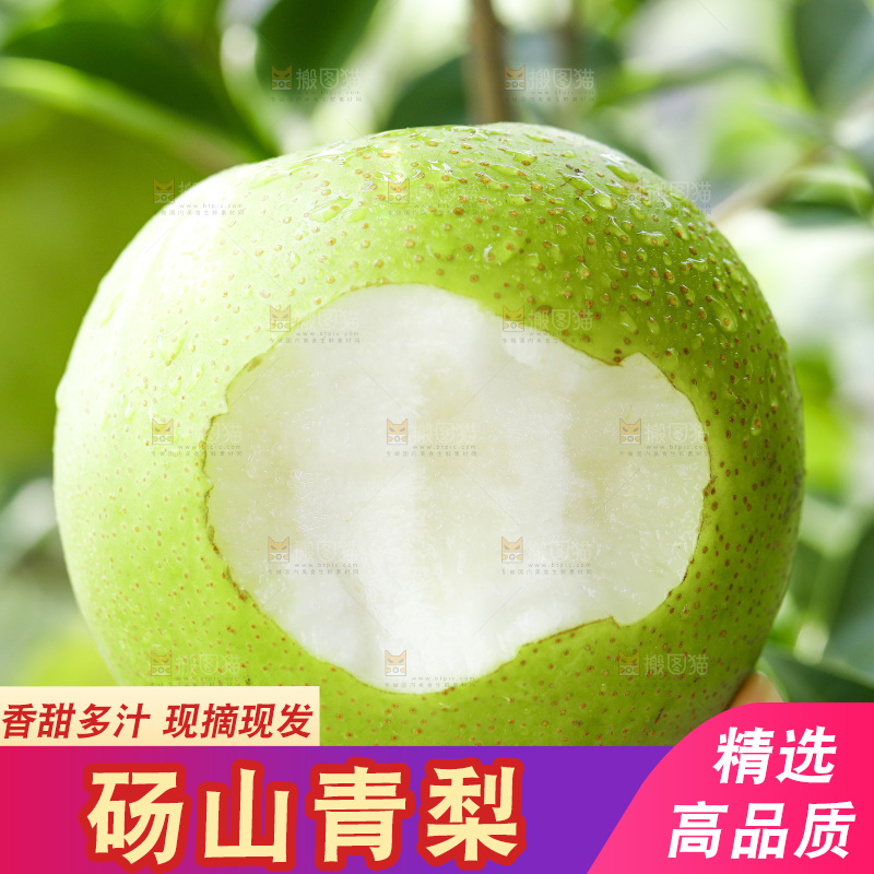 手拿一盘青皮翠冠梨
