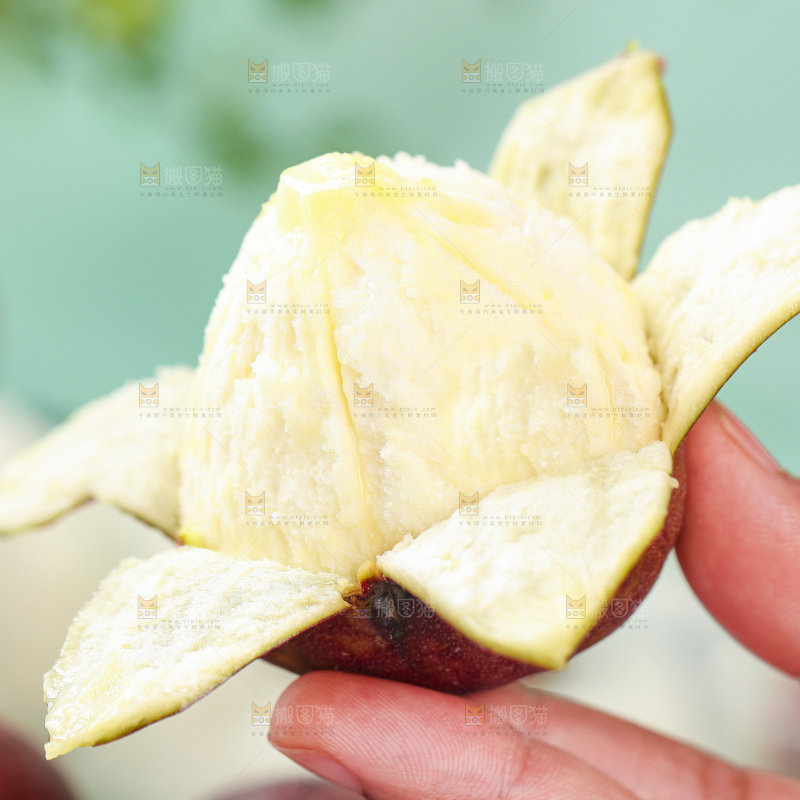 手拿剥皮的无花果