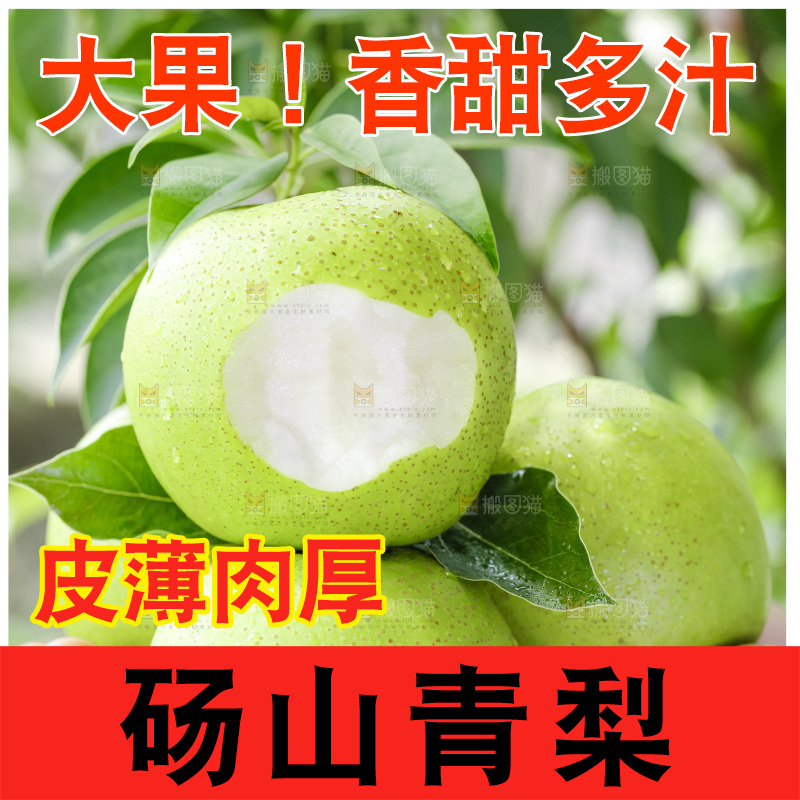 手拿砀山青皮皇冠梨