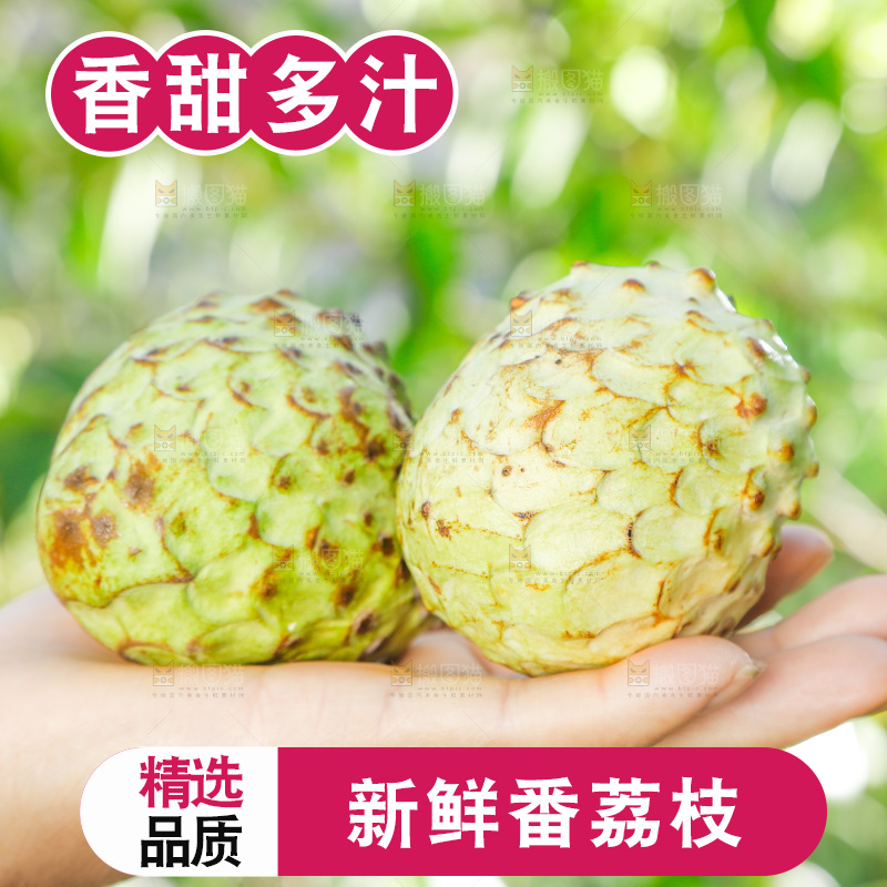 手里拿着释迦果