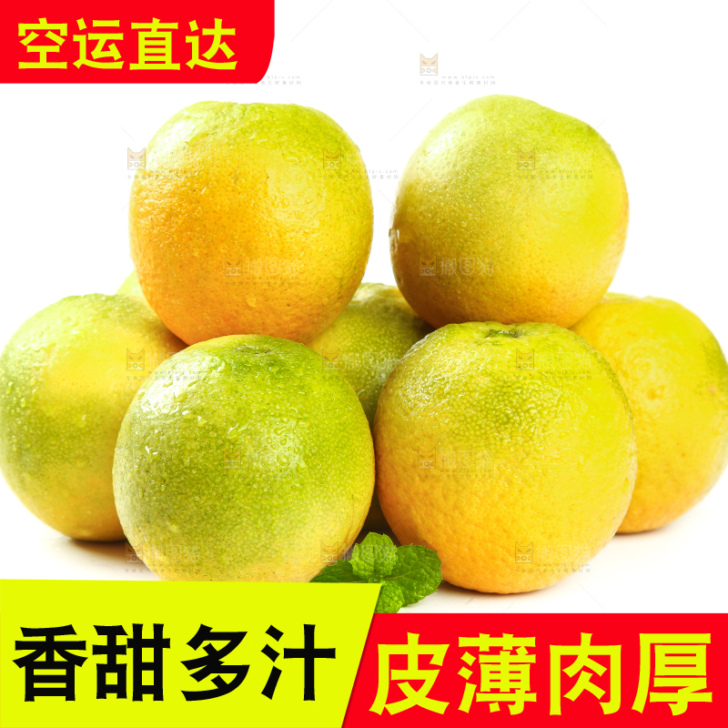 白底上的夏橙