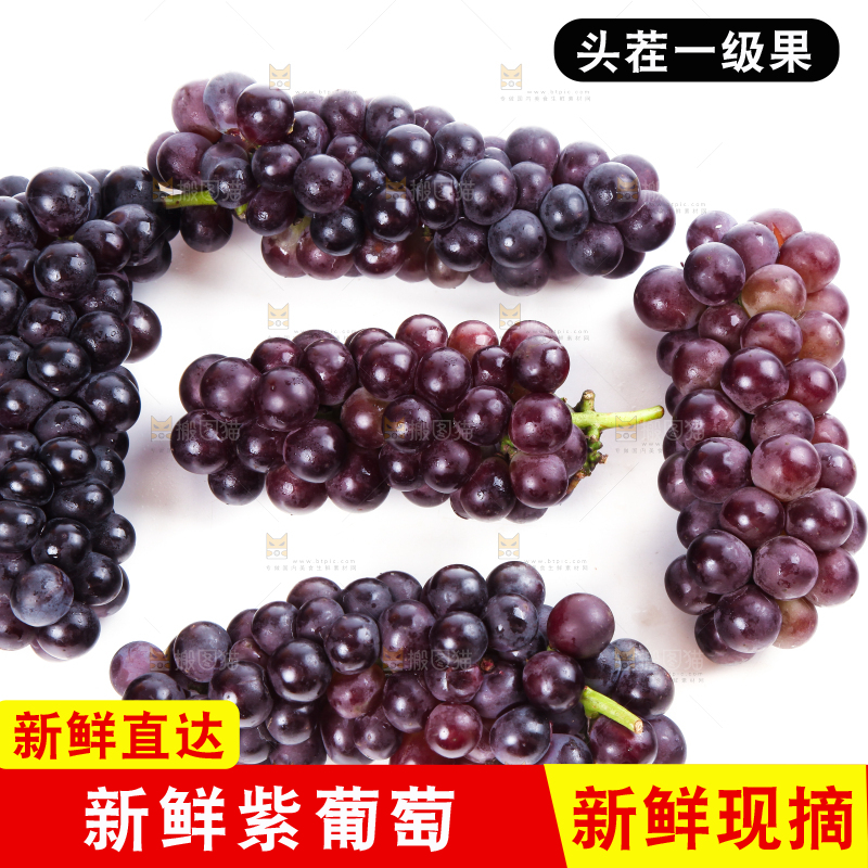 白底上的新鲜巨峰葡萄