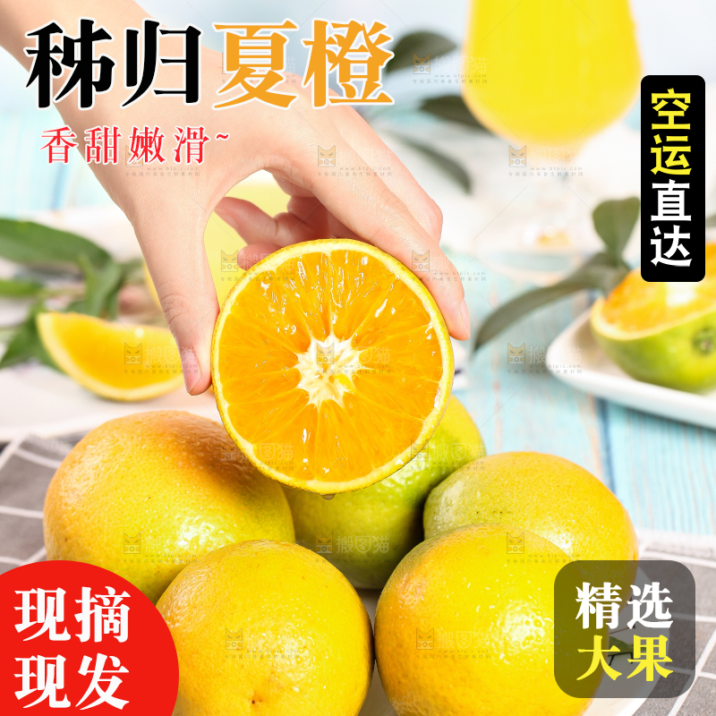 手拿切开的秭归夏橙