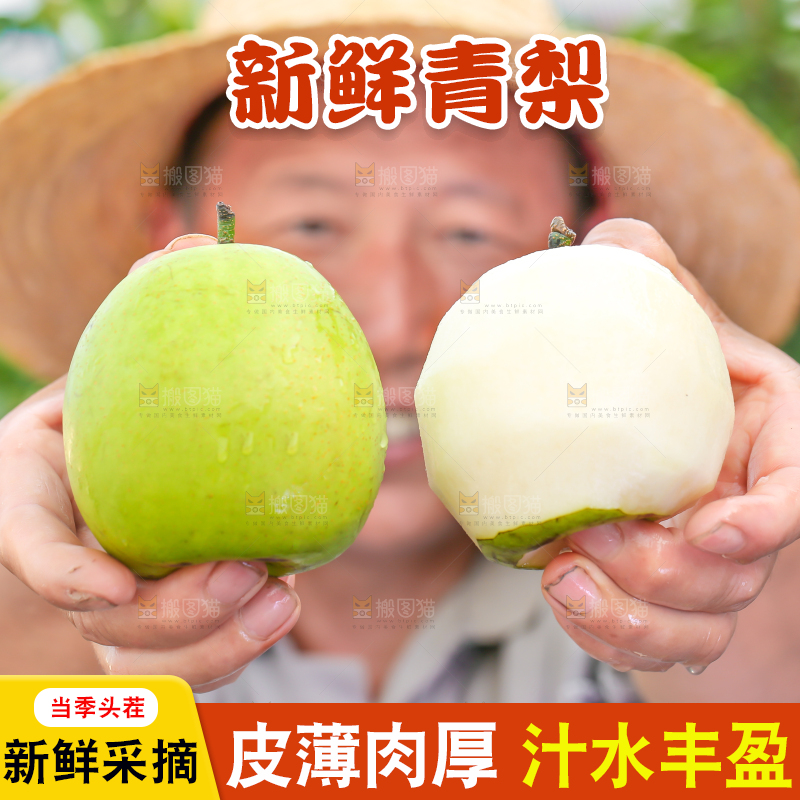 农民手里拿着青皮皇冠梨