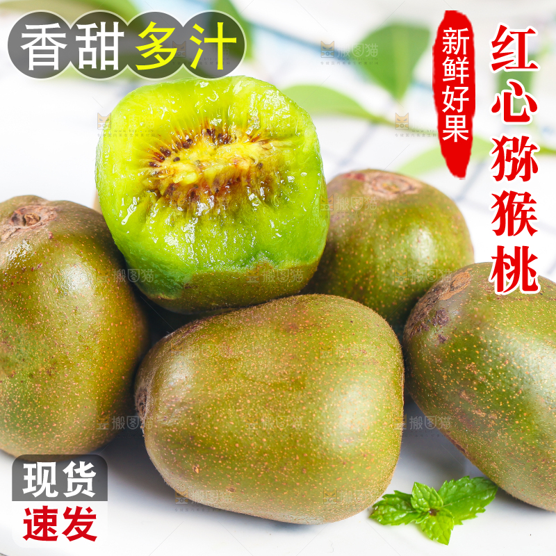 石板上的四川红心猕猴桃