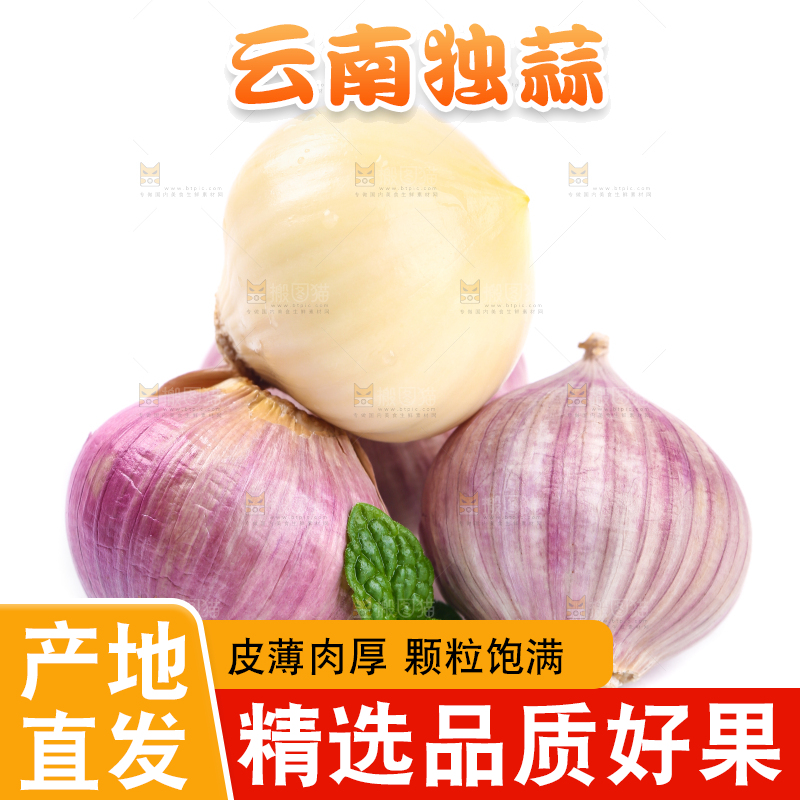 白底上摆放着紫皮独蒜
