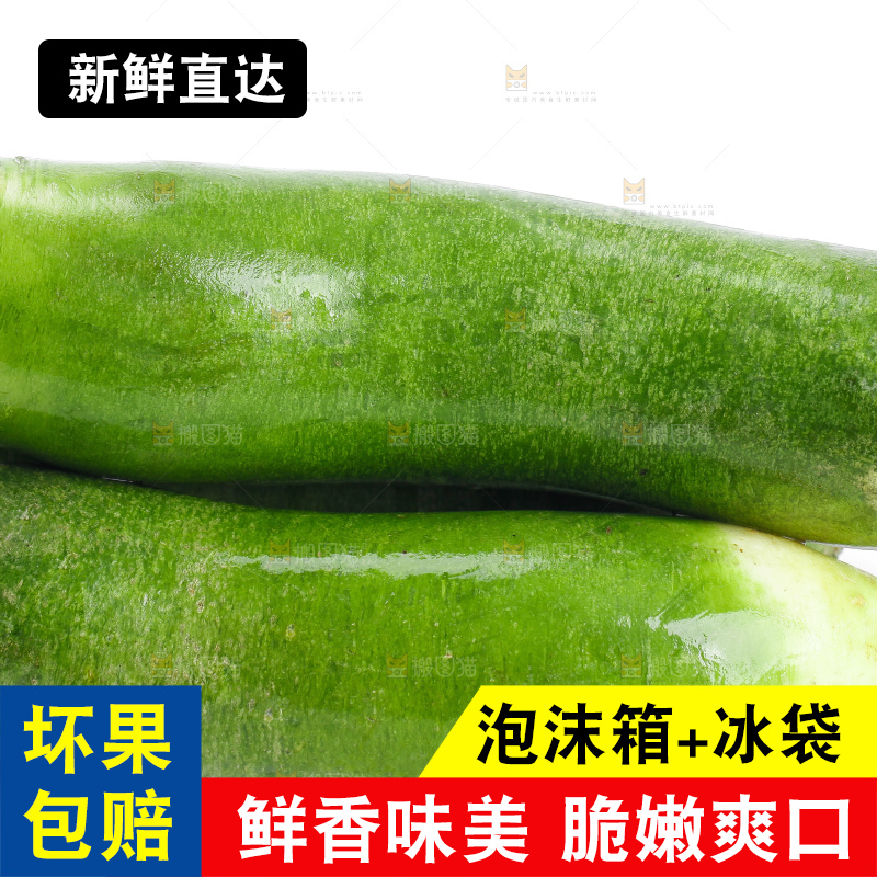 白底上摆放着绿心萝卜