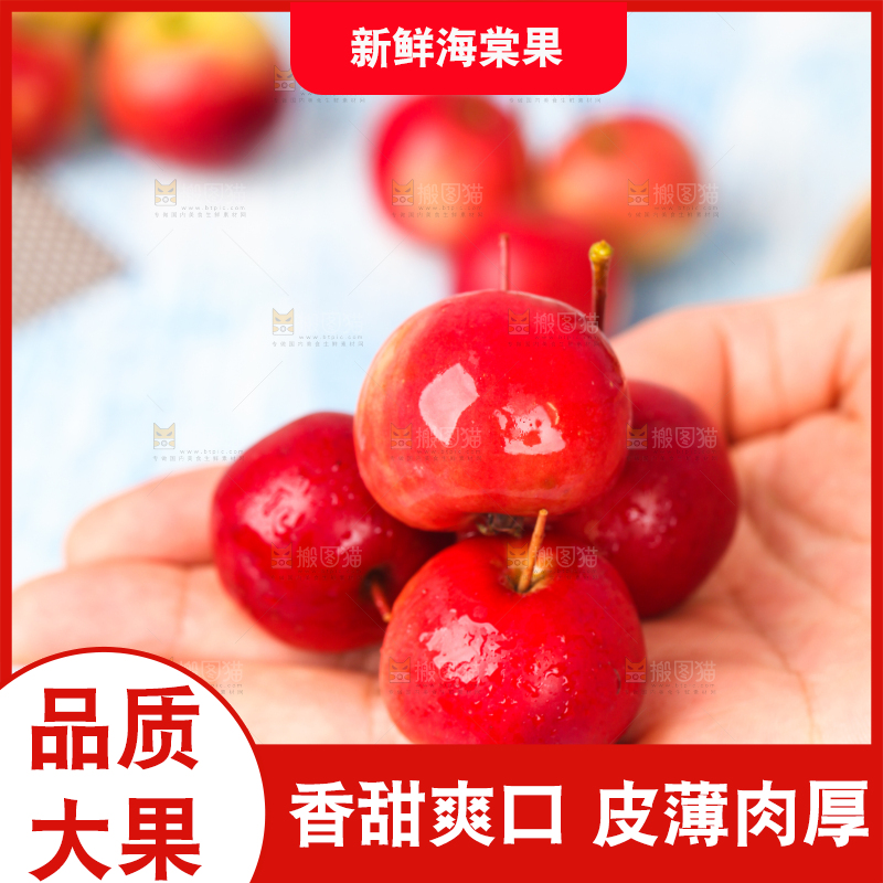 手拿新鲜海棠果