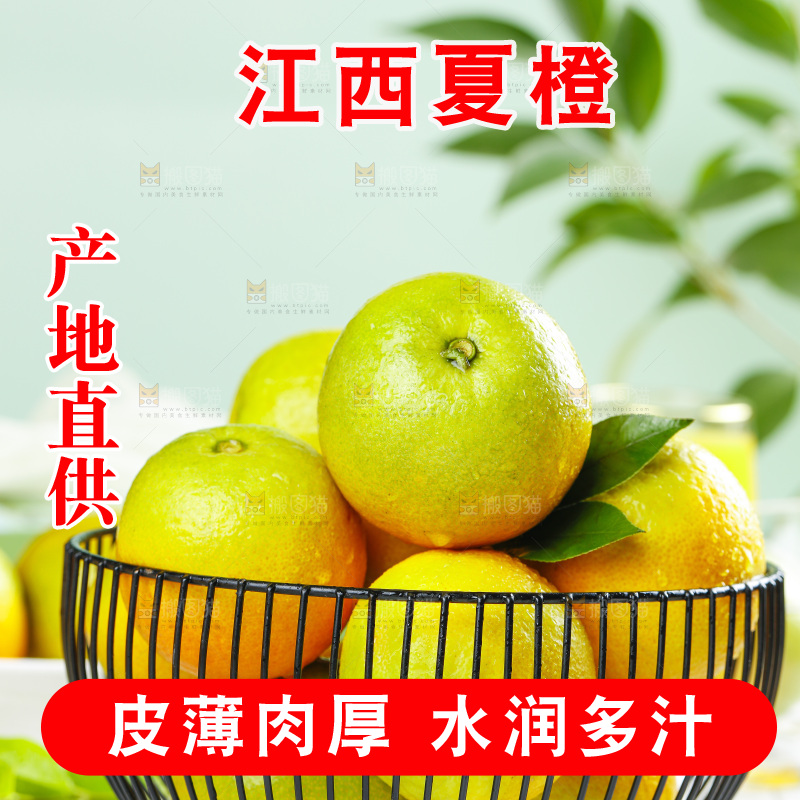 浅底上放着一筐秭归夏橙