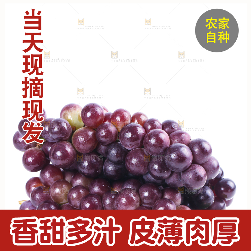 白底上的新鲜巨峰葡萄
