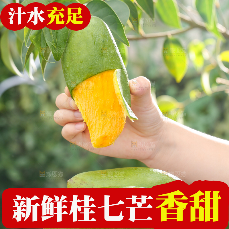手拿剥皮的桂七芒