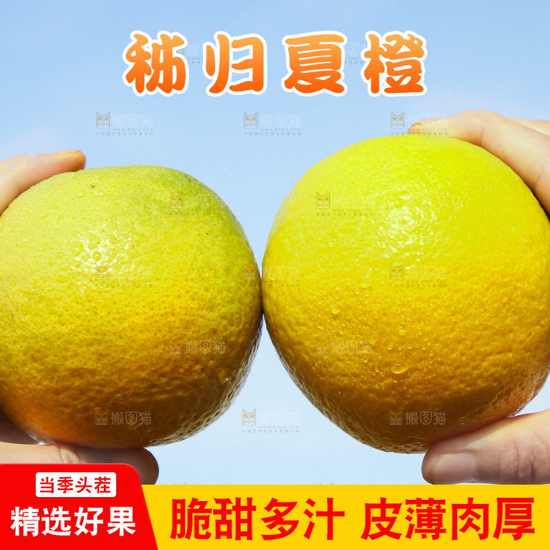手拿秭归夏橙