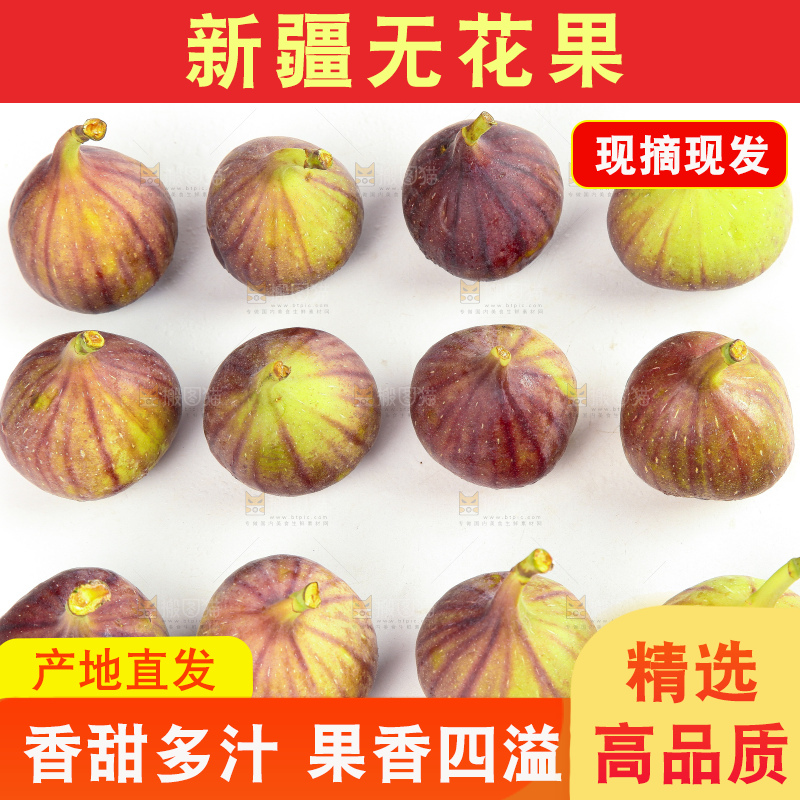 白底上的无花果