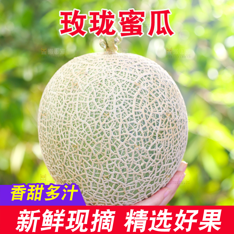 手拿玫珑瓜