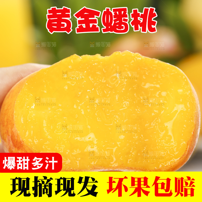 浅底上手拿着切开的黄蟠桃果肉