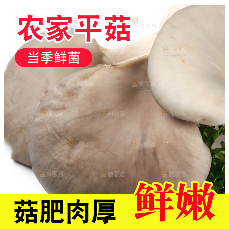 白底上放着平菇