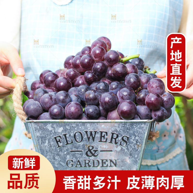 手端一筐巨峰葡萄