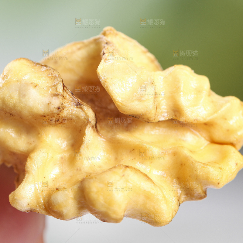 手拿新鲜湿核桃果仁