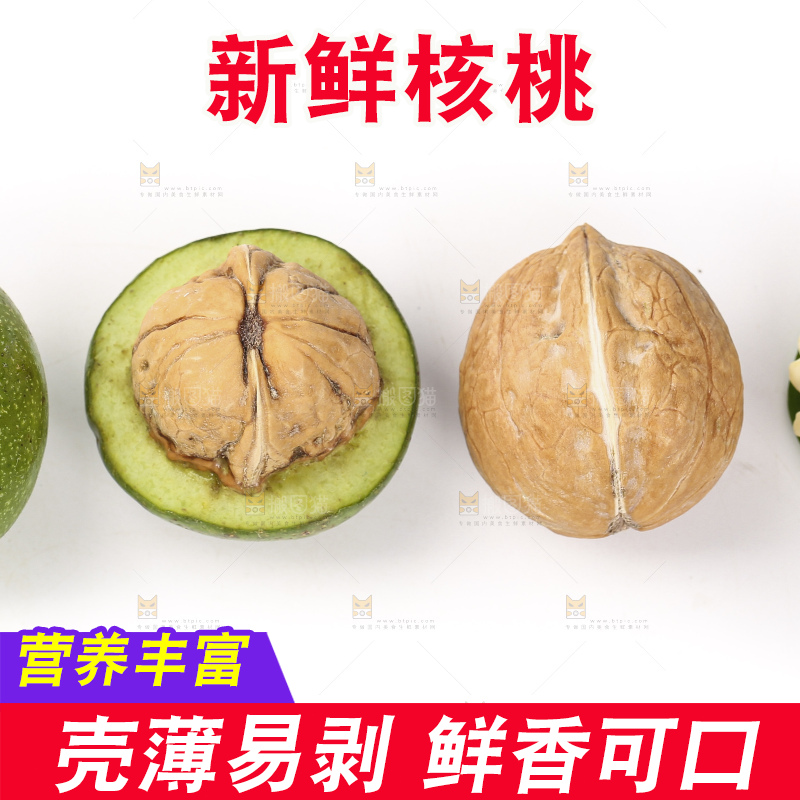 白底上的新鲜核桃