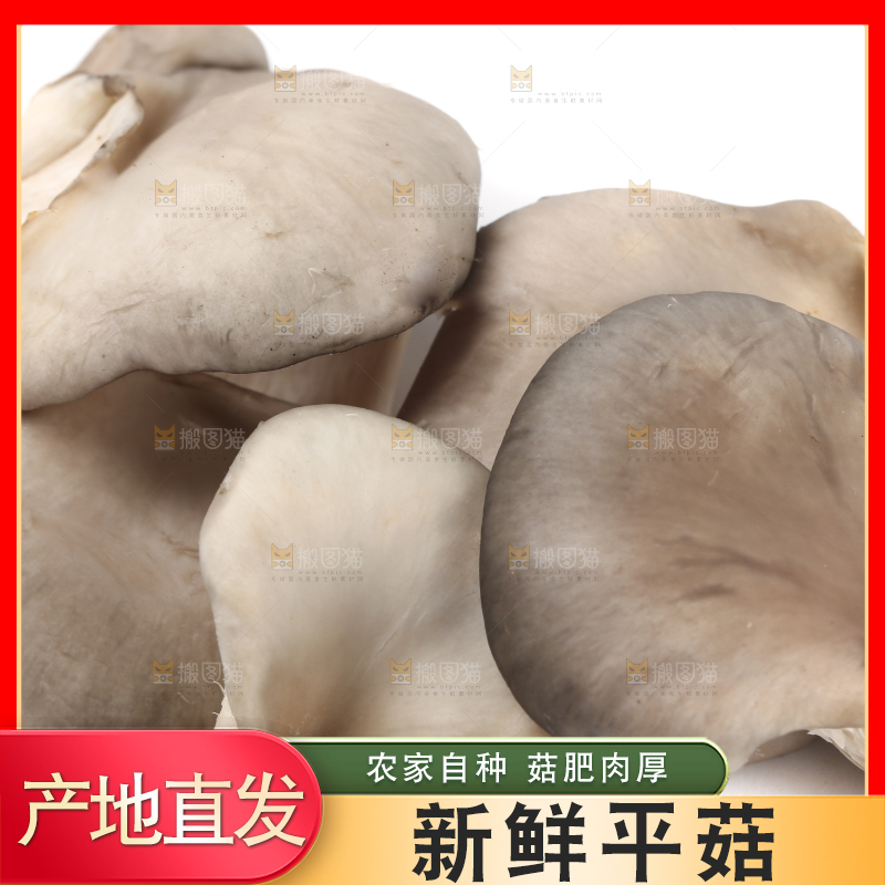 白底上放着平菇