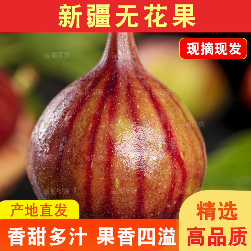手拿无花果