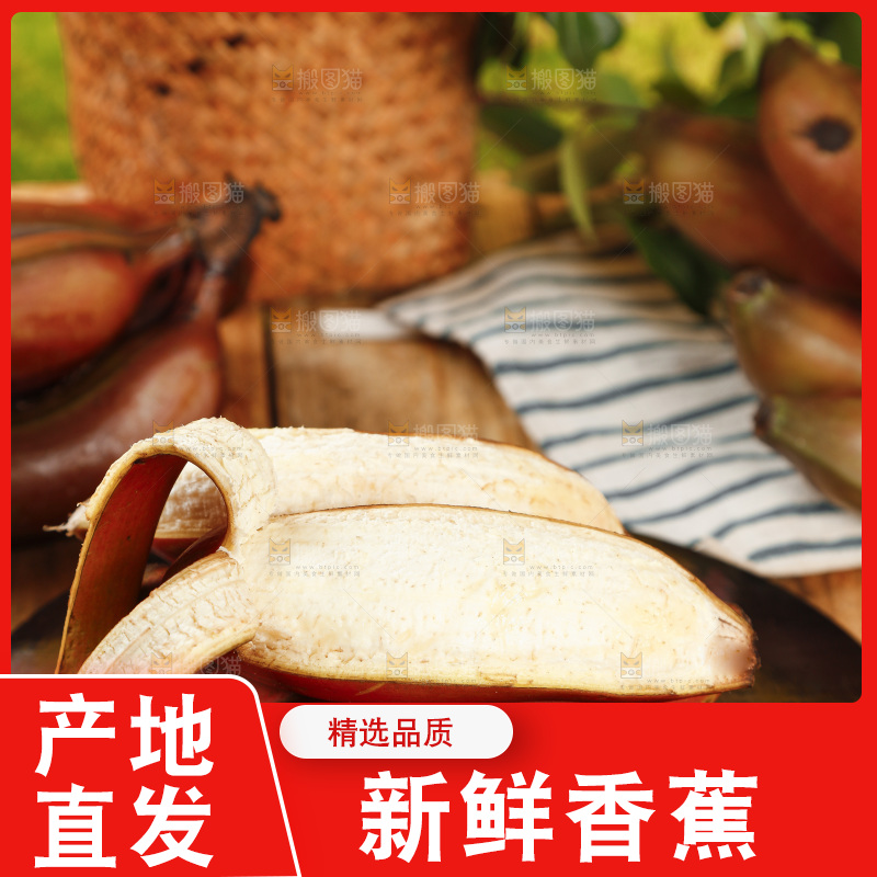 黑石板上的红皮美人蕉