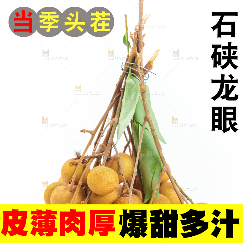 白底上的龙眼