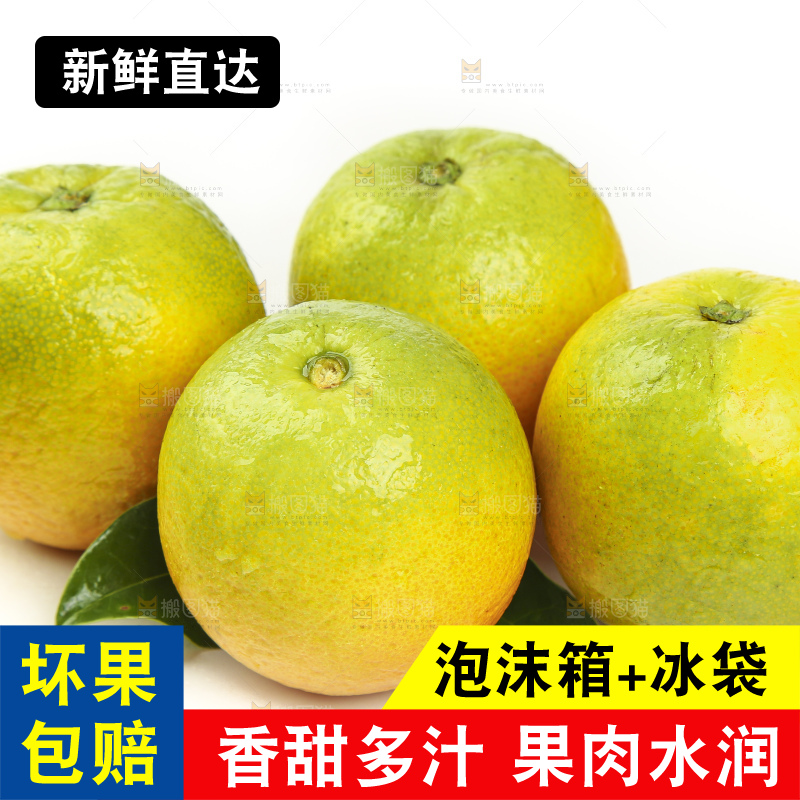 白底上的秭归夏橙