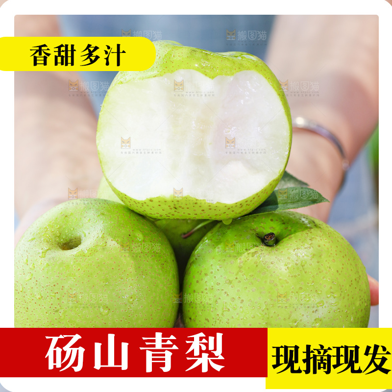 手拿砀山青皮翠冠梨