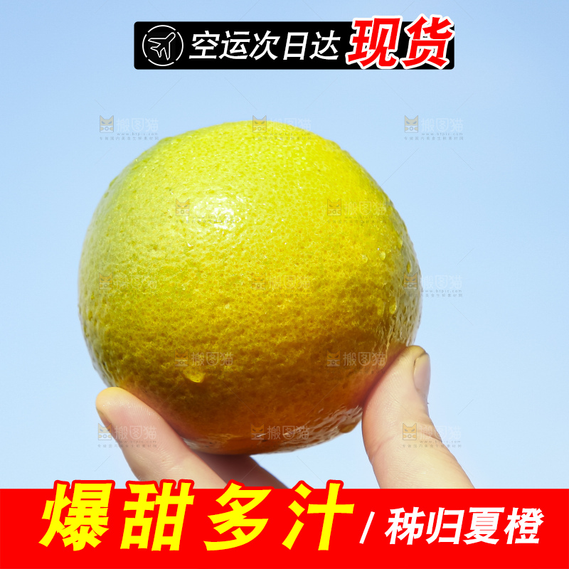 手拿秭归夏橙