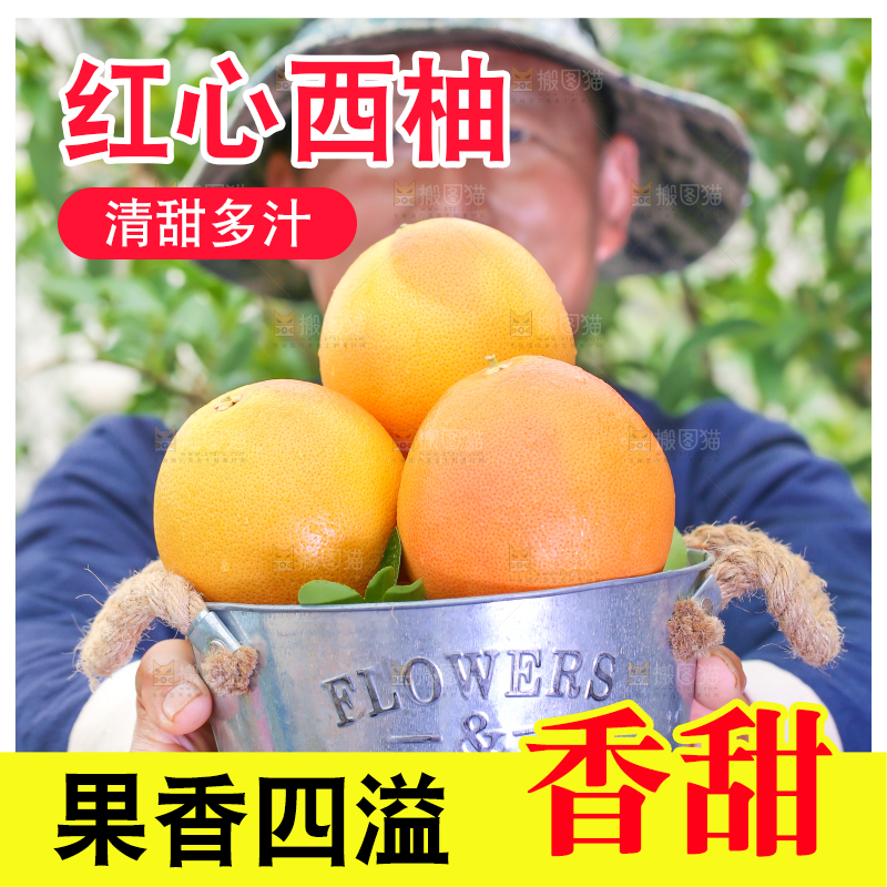 农民手里拿着南非西柚