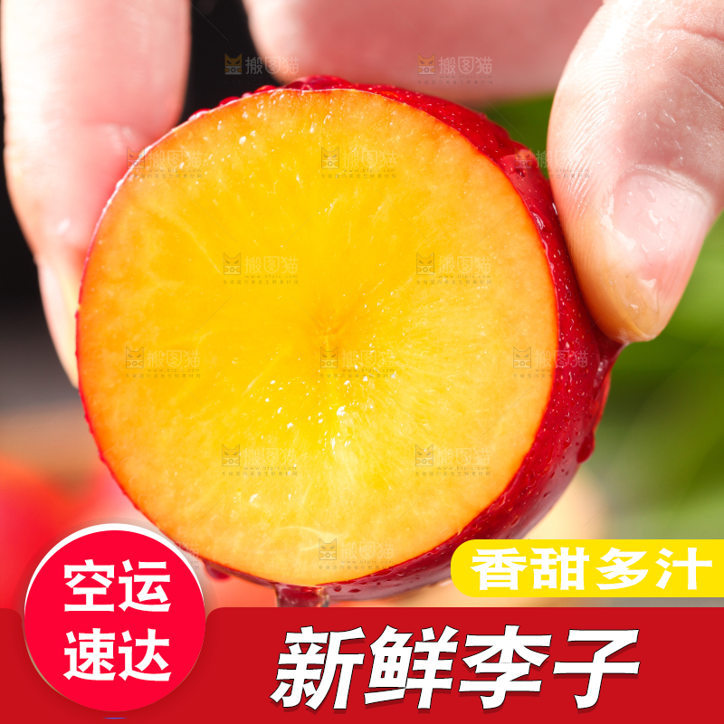 手拿切开的红宝石李子