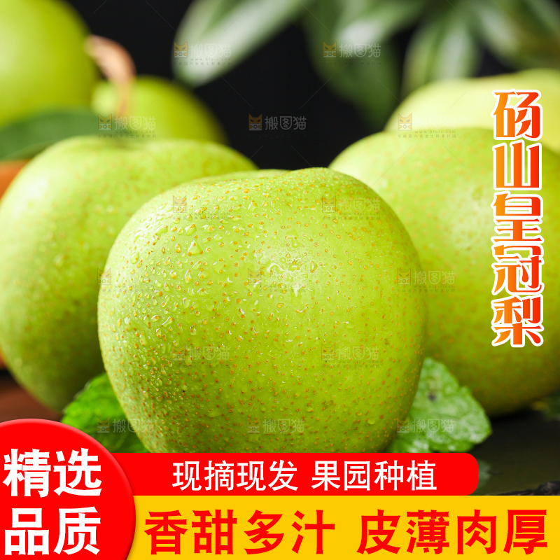 黑底上的青皮皇冠梨