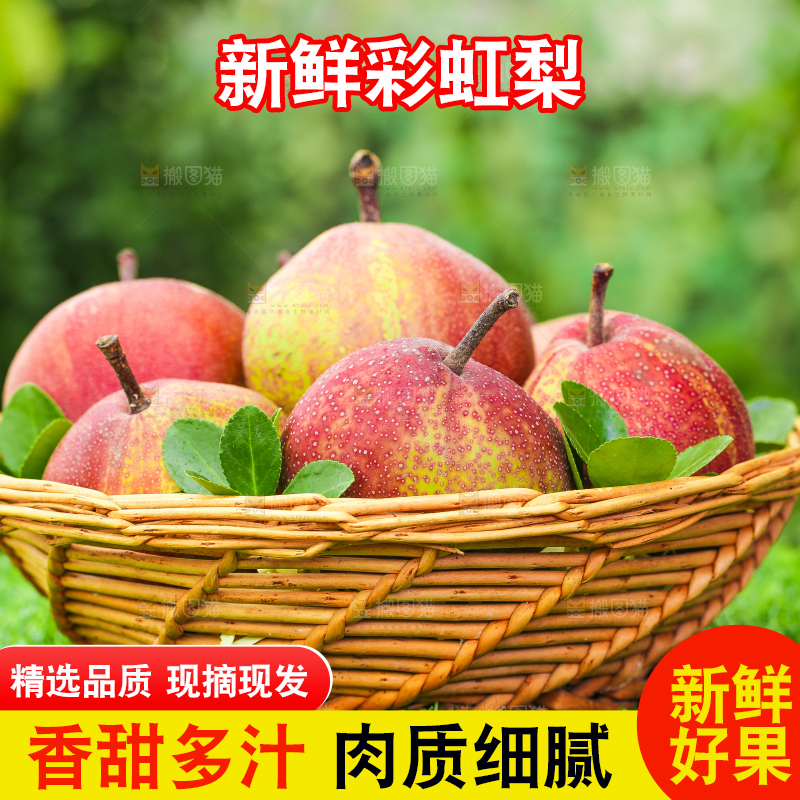 草地上放着一筐陕西彩虹梨
