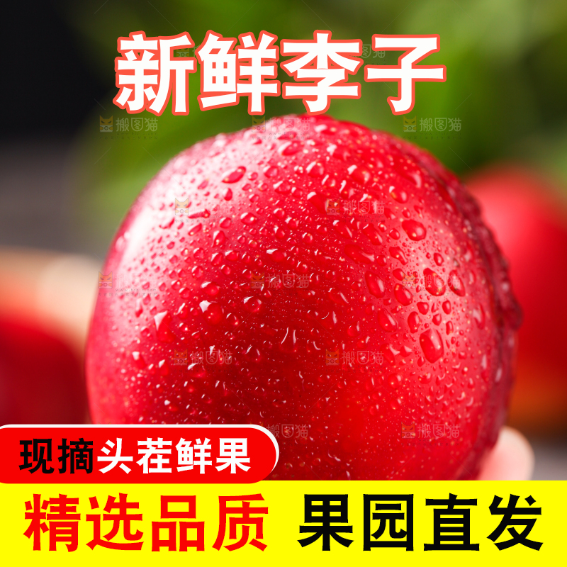 手拿珍珠李